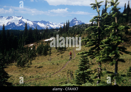 Woman mountain biking in Revelstoke, British Columbia, Canada. Stock Photo