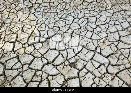 Cracked clay mud in the Red River Valley. Winnipeg, Manitoba, Canada. Stock Photo