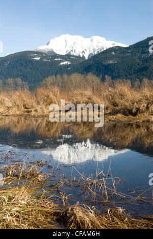 Golden Ears reflects on an early spring day. Maple Ridge, BC, Canada Stock Photo