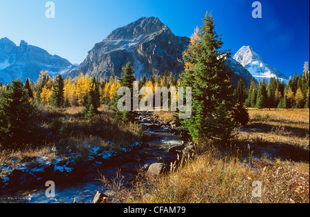 Mount Assiniboine Provincial Park in Fall, British Columbia, Canada.
