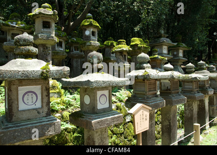 Ishidoro (Japanese stone lanterns) at Kasuga-Taisha shrine in Nara, Japan. A UNESCO World Heritage Site. Stock Photo