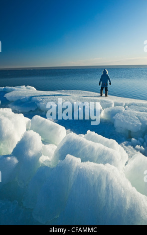 a man looks out over melting ice, along Lake Winnipeg, Manitoba, Canada Stock Photo