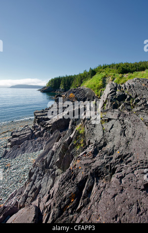 Admiral's Cove coastline, Newfoundland and Labrador, Canada. Stock Photo