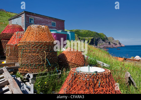 Crab traps, Red Head Cove, Newfoundland and Labrador, Canada. Stock Photo