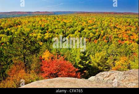 Algonquin Park in fall, view from Lookout Trail, Ontario, Canada Stock Photo