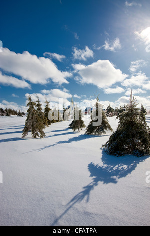 Avonlea Village in winter, Cavendish, Prince Edward Island, Canada. Stock Photo