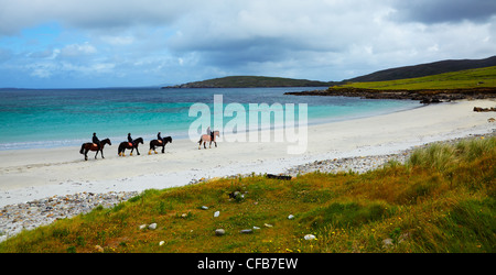 Four riders and horses on the Sellerna beach, Cleggan, in summertime, Ireland. Stock Photo