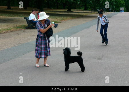 Woman giving ice cream to her poodle in Hyde Park, London, UK. Stock Photo