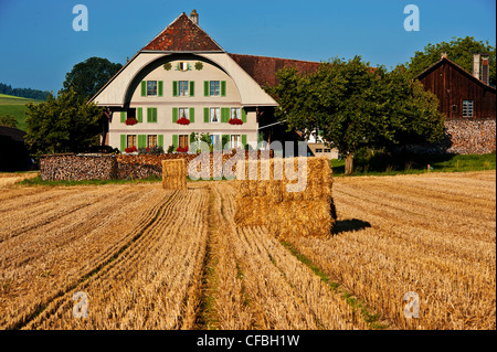 field, farmstead, farm, farmhouse, farm house, Burgdorf, Feld, cornfield, corn field, canton Bern, agriculture, farming, Lercheb Stock Photo