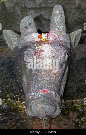 Gomukh (A cow's mouth made of stone) at Shri Koteshwar Temple Situated between Village Limb and Gove in Middle of River Krishna, Stock Photo