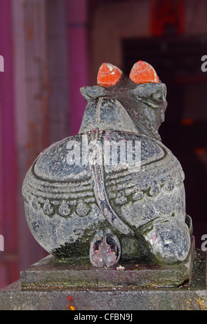 Nandi at Shri Koteshwar Temple Situated between Village Limb and Gove in Middle of River Krishna, Satara, Maharashtra, India Stock Photo