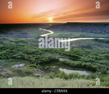 Dry Island Buffalo Jump Provincial Park, Alberta, Canada Stock Photo