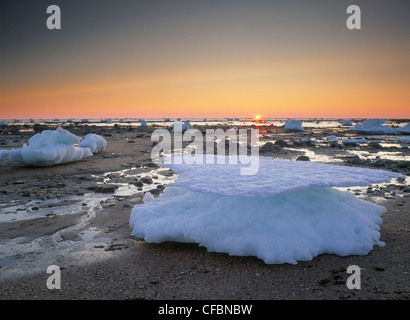 Icebergs and shoreline at sunset, Hudson Bay at Churchill, Manitoba, Canada Stock Photo
