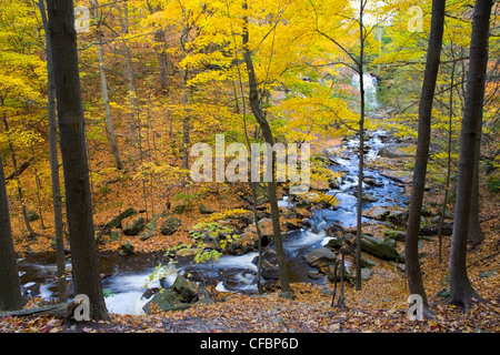 Grindstone Creek and Grand Falls in fall, Bruce Trail, Niagara Escarpment, Hamilton, Ontario, Canada