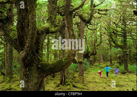 Mother and daughters in mossy forest, Naikoon Provincial Park, Queen Charlotte Islands, British Columbia, Canada Stock Photo