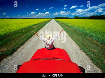 A man sits on the front of his truck overlooking a country road with blooming canola fields near Roland, Manitoba, Canada