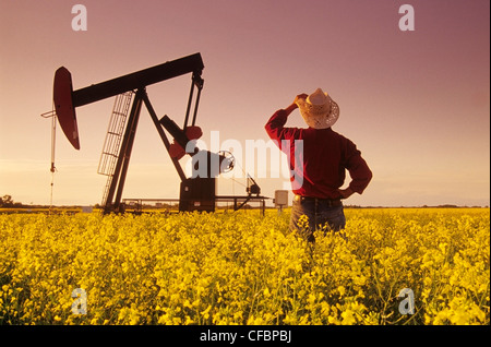 A farmer looks out over a blooming canola field with an oil pumpjack in the background near Carlyle, Saskatchewan, Canada Stock Photo