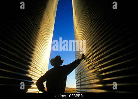 A farmer looks out over his field from his grain storage bins at sunset near Dugald, Manitoba, Canada Stock Photo
