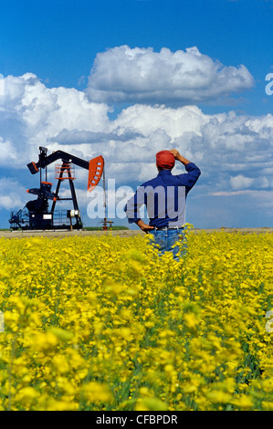 A man looks out over a blooming canola field with oil pumpjack in the background near Carlyle, Saskatchewan, Canada Stock Photo