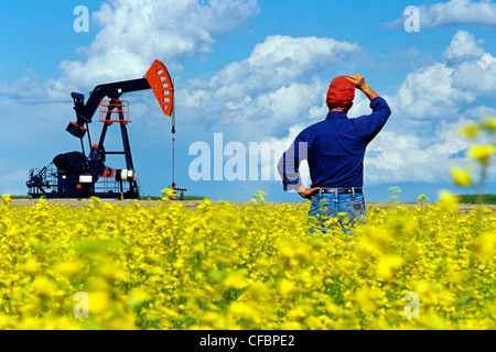 A man looks out over a blooming canola field with oil pumpjack in the background near Carlyle, Saskatchewan, Canada Stock Photo