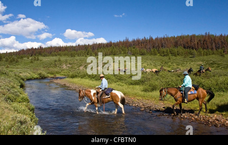 Pack train traveling through the Itcha Mountains in British Columbia Canada Stock Photo