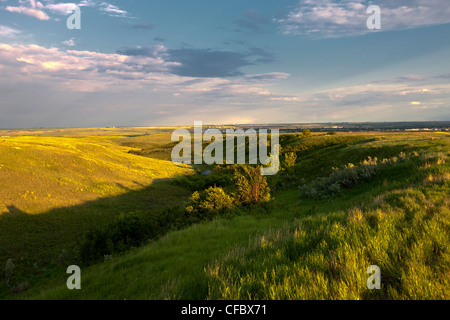 Prairie near Moose Jaw, Saskatchewan, Canada. Stock Photo