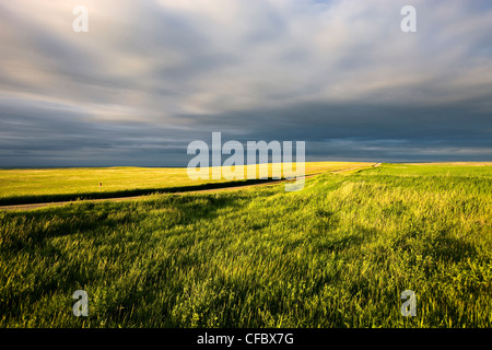 Clay road in spring near Moose Jaw, Saskatchewan, Canada. Stock Photo