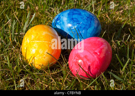 Colored eggs Stock Photo