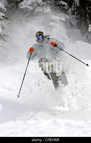Skier, Whistler, BC, Canada Stock Photo
