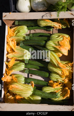 Courgettes with flowers attached for sale in an Italian greengrocer's shop Stock Photo