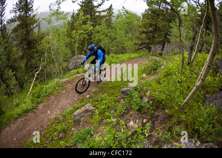 A mountain biker riding single track track of Jumping Pond Ridge in Kananaskis country, AB Stock Photo