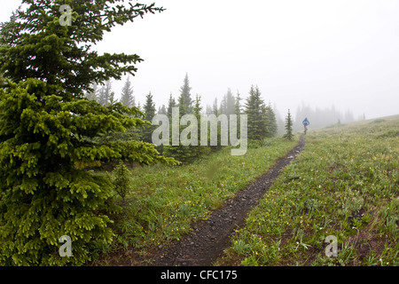 A mountain biker riding single track track of Jumping Pond Ridge in Kananaskis country, AB Stock Photo