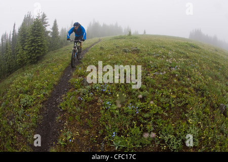 A mountain biker riding single track track of Jumping Pond Ridge in Kananaskis country, AB Stock Photo