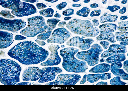 aerial over unknown lake in the Cariboo region of British Columbia Canada Stock Photo