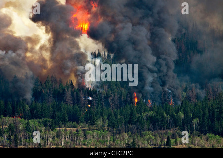Forest Fire imagery in the Chilcotin region of British Columbia Canada Stock Photo