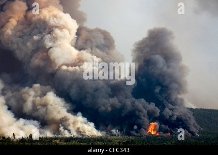 Forest Fire imagery in the Chilcotin region of British Columbia Canada Stock Photo