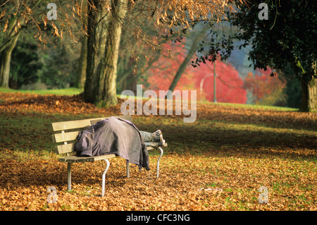 homeless man sleeping on park bench in Stanley Park, Vancouver, British Columbia, Canada Stock Photo