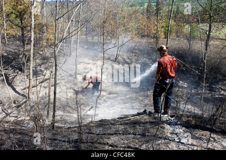 fire fighters putting out hot spots Stock Photo