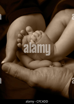 Sepia close up of baby's feet on parent's hands Stock Photo