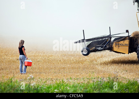 Woman delivering lunch cooler to a combine operator during the harvest. Near Somerset, Manitoba, Canada. Stock Photo