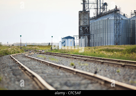 Inland grain terminal and railway tracks. Rathwell, Manitoba, Canada. Stock Photo
