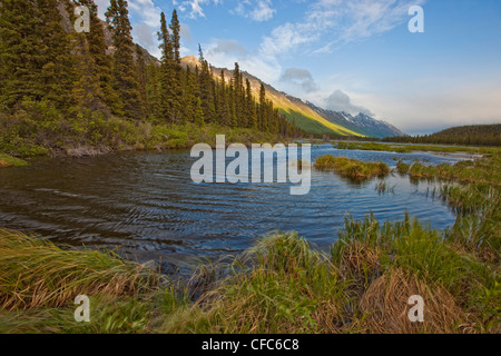 Annie Lake near Whitehorse, Yukon during a windy day in summer, Canada. Stock Photo