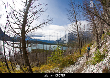 A female mountain biker rides the classic singletrack of Lake Minnewanka, Banff National Park, AB Stock Photo