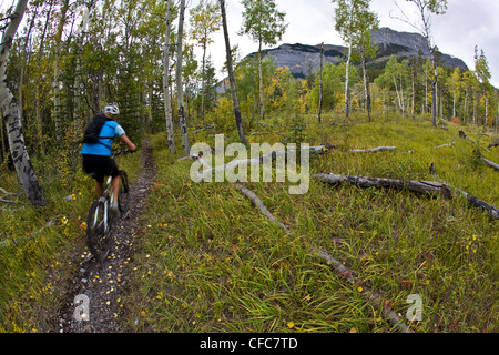 A female mountain biker rides the classic singletrack of Lake Minnewanka, Banff National Park, AB Stock Photo