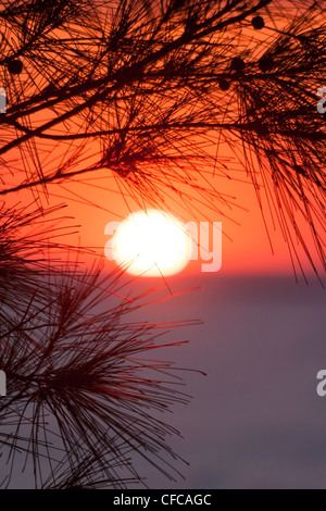 Sunset on Anakao, southern Madagascar Stock Photo