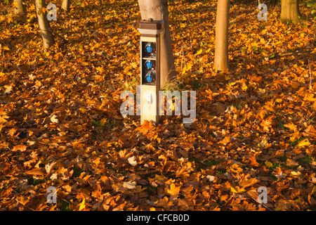 caravanning, caravan, autumn, leaves, colours Stock Photo