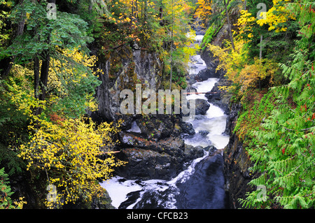 Between the upper and lower falls at the Englishman River Falls Provincial Park near Parksville, British Columbia, Canada Stock Photo