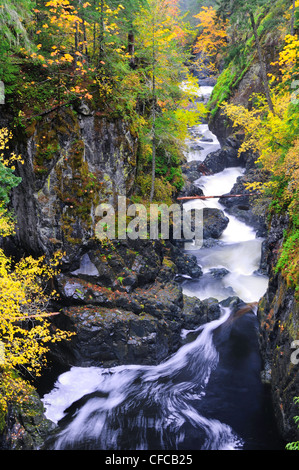 Between the upper and lower falls at the Englishman River Falls Provincial Park near Parksville, British Columbia, Canada Stock Photo