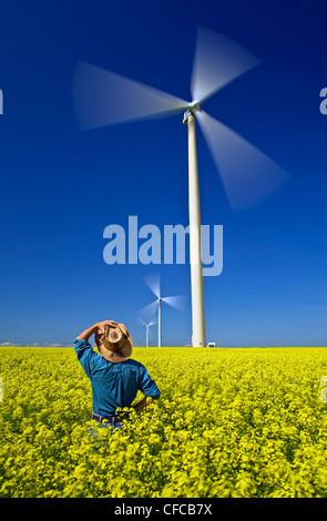 a man in a bloom stage canola field with wind turbines, near St. Leon, Manitoba, Canada