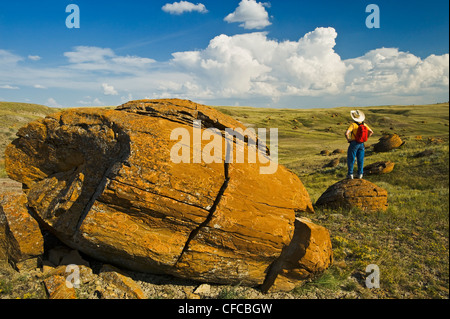 a hiker looks out over sandstone concretions in Red Rock Coulee Natural Area, Alberta, Canada Stock Photo